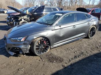  Salvage Audi S5