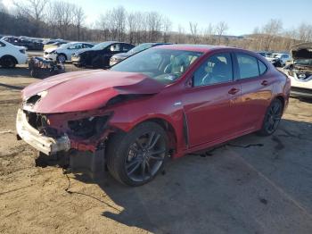  Salvage Acura TLX