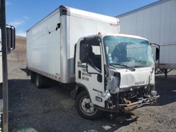  Salvage Isuzu Nqr