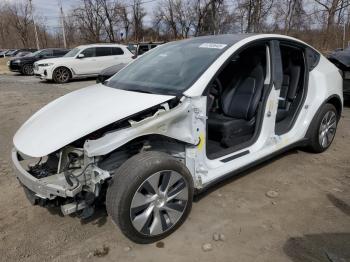  Salvage Tesla Model Y