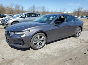  Salvage Acura TLX