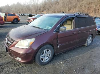  Salvage Honda Odyssey