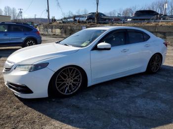  Salvage Acura TLX