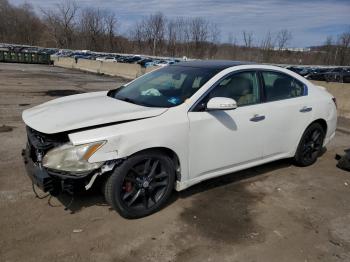  Salvage Nissan Maxima
