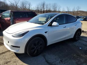  Salvage Tesla Model Y