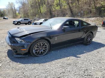  Salvage Ford Mustang