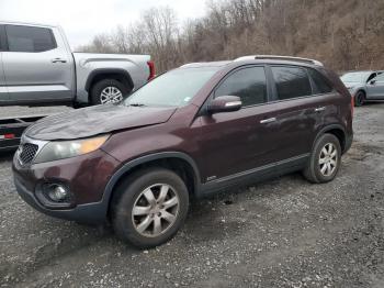 Salvage Kia Sorento