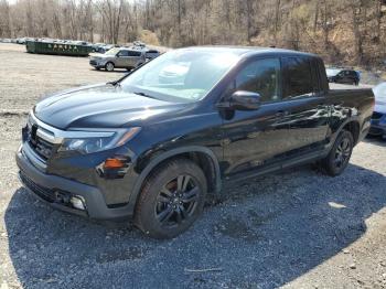  Salvage Honda Ridgeline