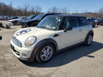  Salvage MINI Cooper