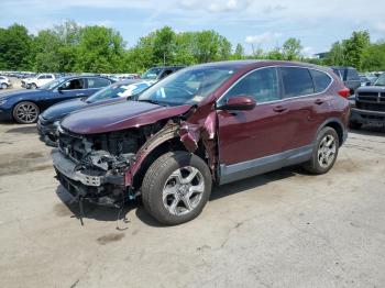 Salvage Honda Crv