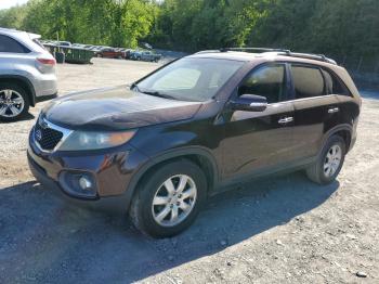  Salvage Kia Sorento