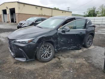  Salvage Lexus NX