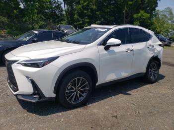  Salvage Lexus NX