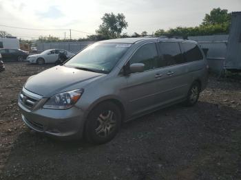  Salvage Honda Odyssey