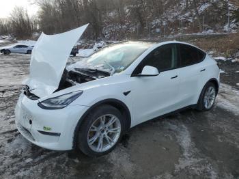  Salvage Tesla Model Y