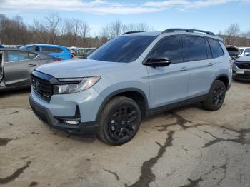  Salvage Honda Passport B