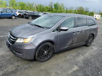  Salvage Honda Odyssey