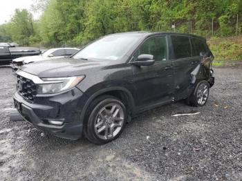  Salvage Honda Passport