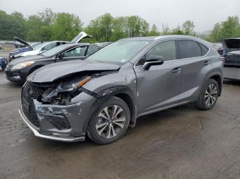  Salvage Lexus NX