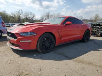  Salvage Ford Mustang
