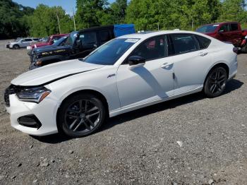  Salvage Acura TLX