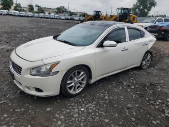  Salvage Nissan Maxima