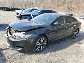  Salvage Nissan Maxima