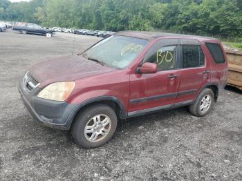  Salvage Honda Crv