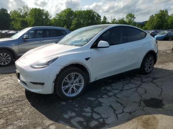 Salvage Tesla Model Y