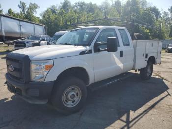  Salvage Ford F-250