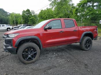  Salvage Chevrolet Colorado