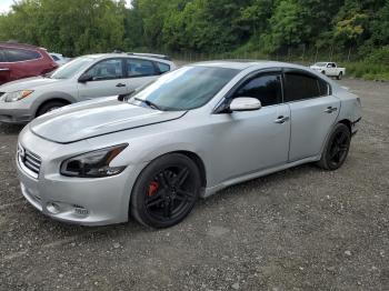  Salvage Nissan Maxima