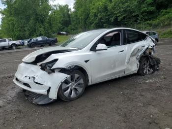  Salvage Tesla Model Y
