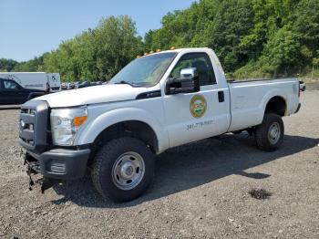  Salvage Ford F-250