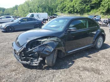  Salvage Volkswagen Beetle