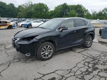  Salvage Lexus NX
