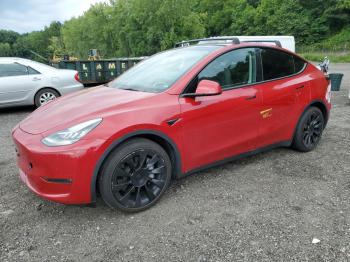 Salvage Tesla Model Y