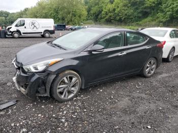  Salvage Hyundai ELANTRA