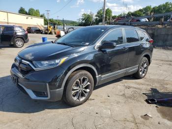  Salvage Honda Crv