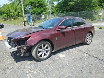  Salvage Acura TL