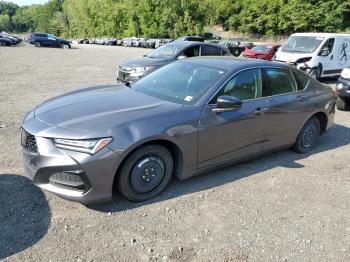  Salvage Acura TLX