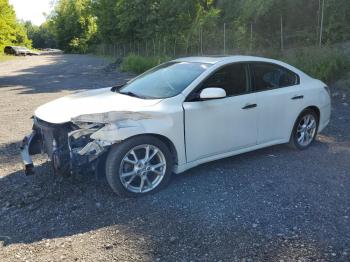  Salvage Nissan Maxima