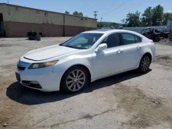  Salvage Acura TL
