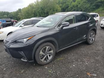  Salvage Lexus NX
