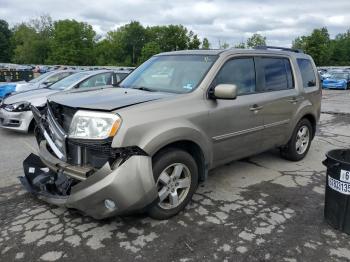  Salvage Honda Pilot