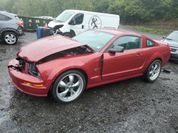  Salvage Ford Mustang