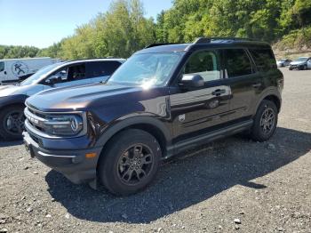  Salvage Ford Bronco