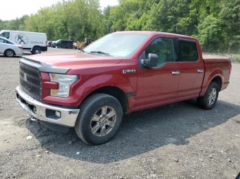  Salvage Ford F-150