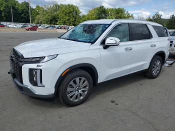  Salvage Hyundai PALISADE