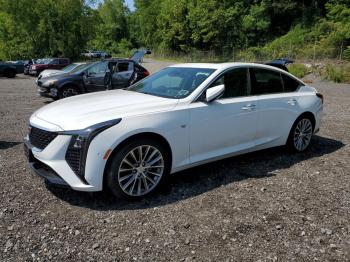  Salvage Cadillac CT5